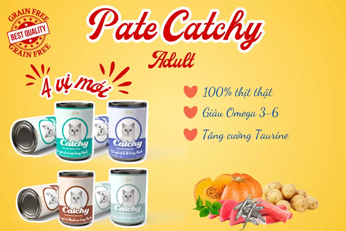 Pate Catchy cho mèo trưởng thành