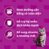 Pate Whiskas cho mèo con